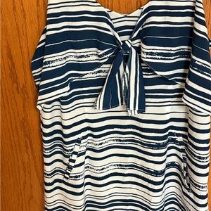 CAbi Blue and White Striped Dress